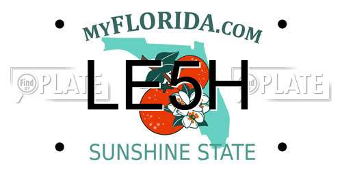 LE5H Florida License Plate