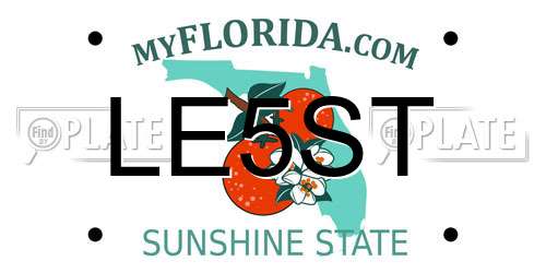LE5ST Florida License Plate