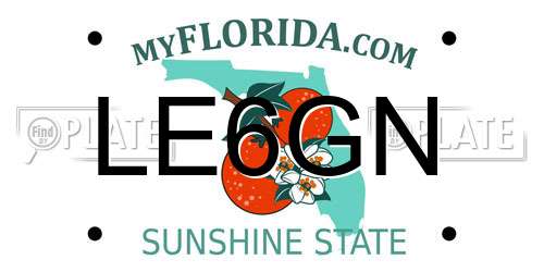 LE6GN Florida License Plate