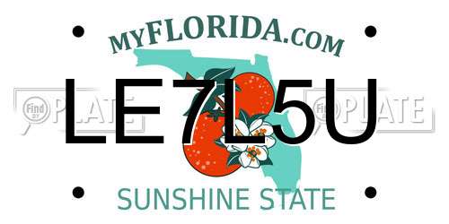 LE7L5U Florida License Plate