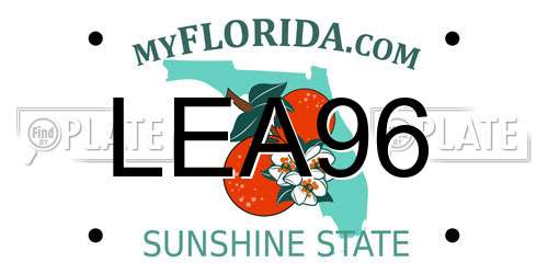 LEA96 Florida License Plate