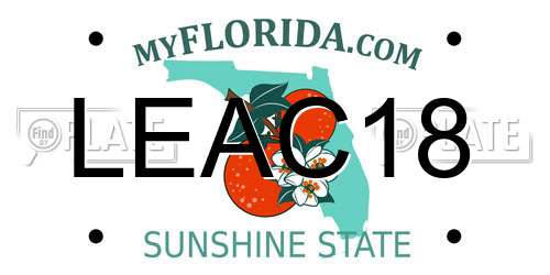 LEAC18 Florida License Plate