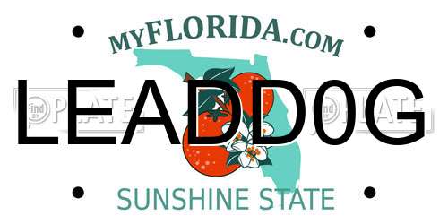 LEADD0G Florida License Plate