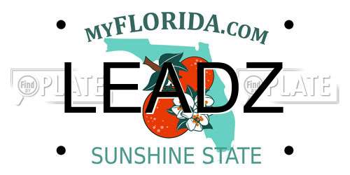 LEADZ Florida License Plate