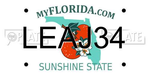 LEAJ34 Florida License Plate