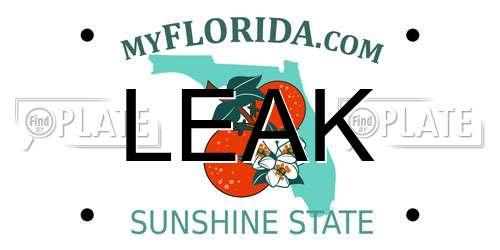 LEAK Florida License Plate