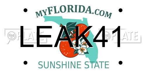 LEAK41 Florida License Plate