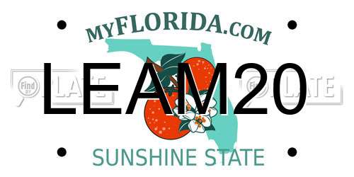 LEAM20 Florida License Plate