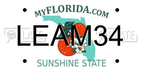 LEAM34 Florida License Plate