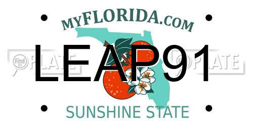 LEAP91 Florida License Plate