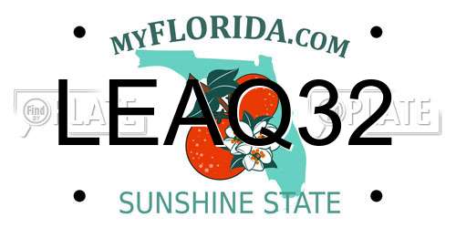 LEAQ32 Florida License Plate