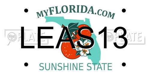 LEAS13 Florida License Plate