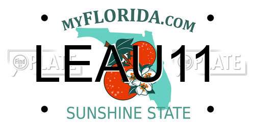 LEAU11 Florida License Plate