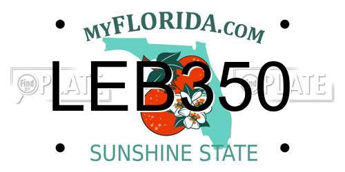 LEB350 Florida License Plate