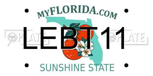 LEBT11 Florida License Plate