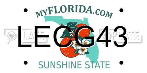 LECG43 Florida License Plate