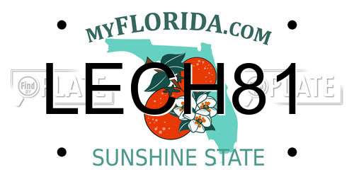 LECH81 Florida License Plate