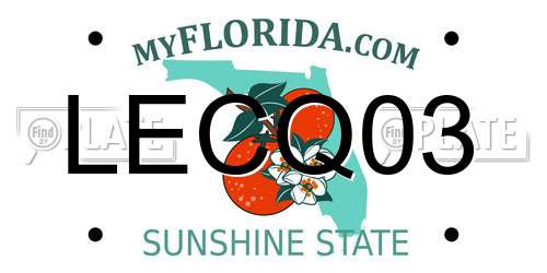 LECQ03 Florida License Plate