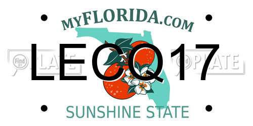 LECQ17 Florida License Plate