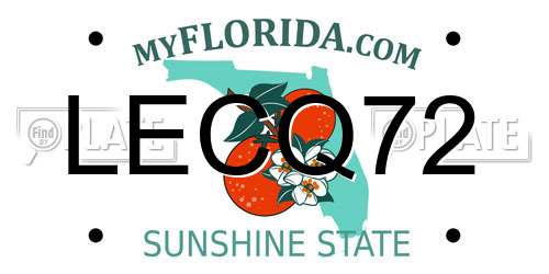 LECQ72 Florida License Plate