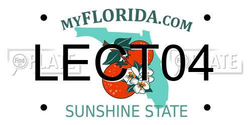 LECT04 Florida License Plate
