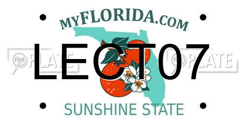 LECT07 Florida License Plate