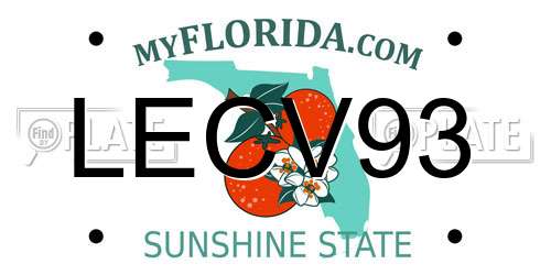 LECV93 Florida License Plate