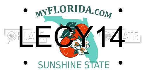 LECY14 Florida License Plate