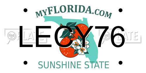 LECY76 Florida License Plate