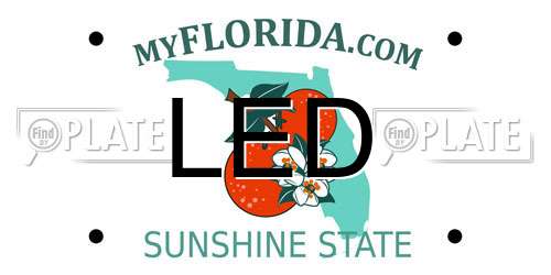 LED Florida License Plate