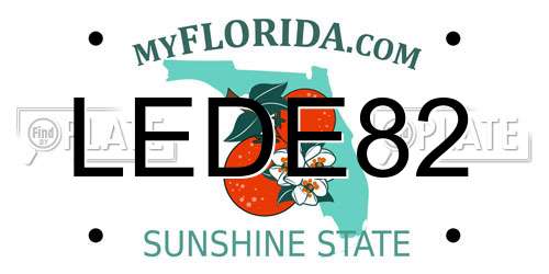 LEDE82 Florida License Plate