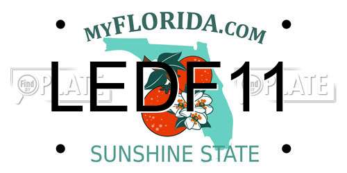 LEDF11 Florida License Plate