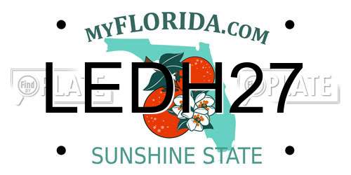 LEDH27 Florida License Plate