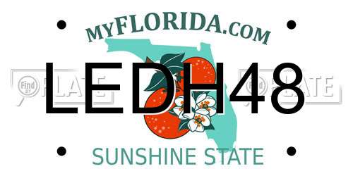 LEDH48 Florida License Plate