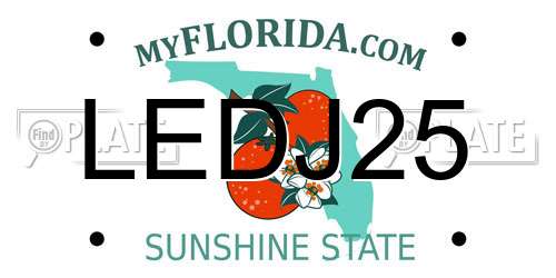 LEDJ25 Florida License Plate