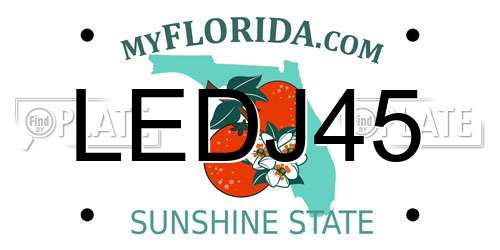 LEDJ45 Florida License Plate