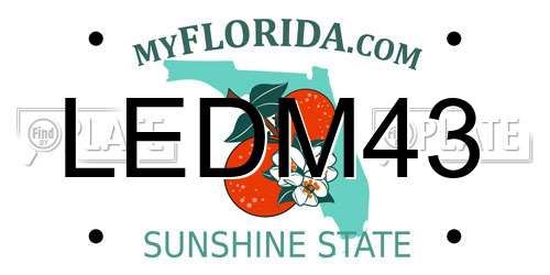 LEDM43 Florida License Plate