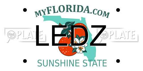 LEDZ Florida License Plate