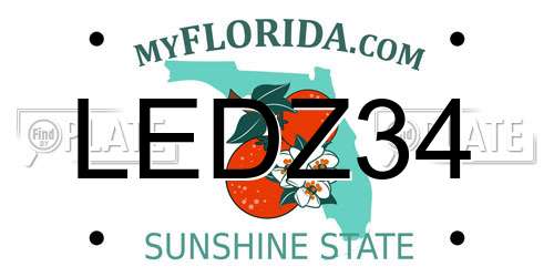 LEDZ34 Florida License Plate
