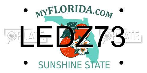 LEDZ73 Florida License Plate