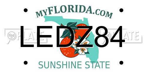 LEDZ84 Florida License Plate