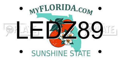 LEDZ89 Florida License Plate