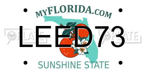 LEED73 Florida License Plate