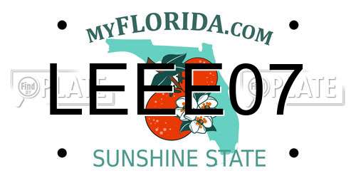LEEE07 Florida License Plate