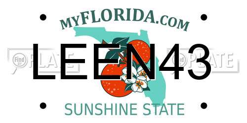 LEEN43 Florida License Plate