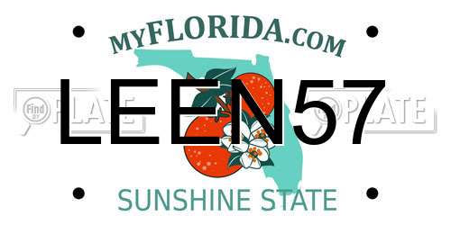 LEEN57 Florida License Plate