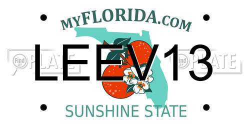 LEEV13 Florida License Plate