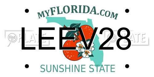 LEEV28 Florida License Plate