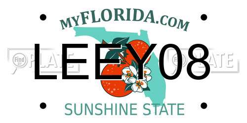 LEEY08 Florida License Plate