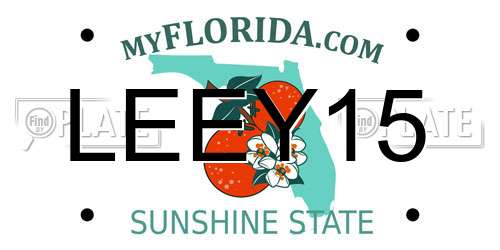 LEEY15 Florida License Plate